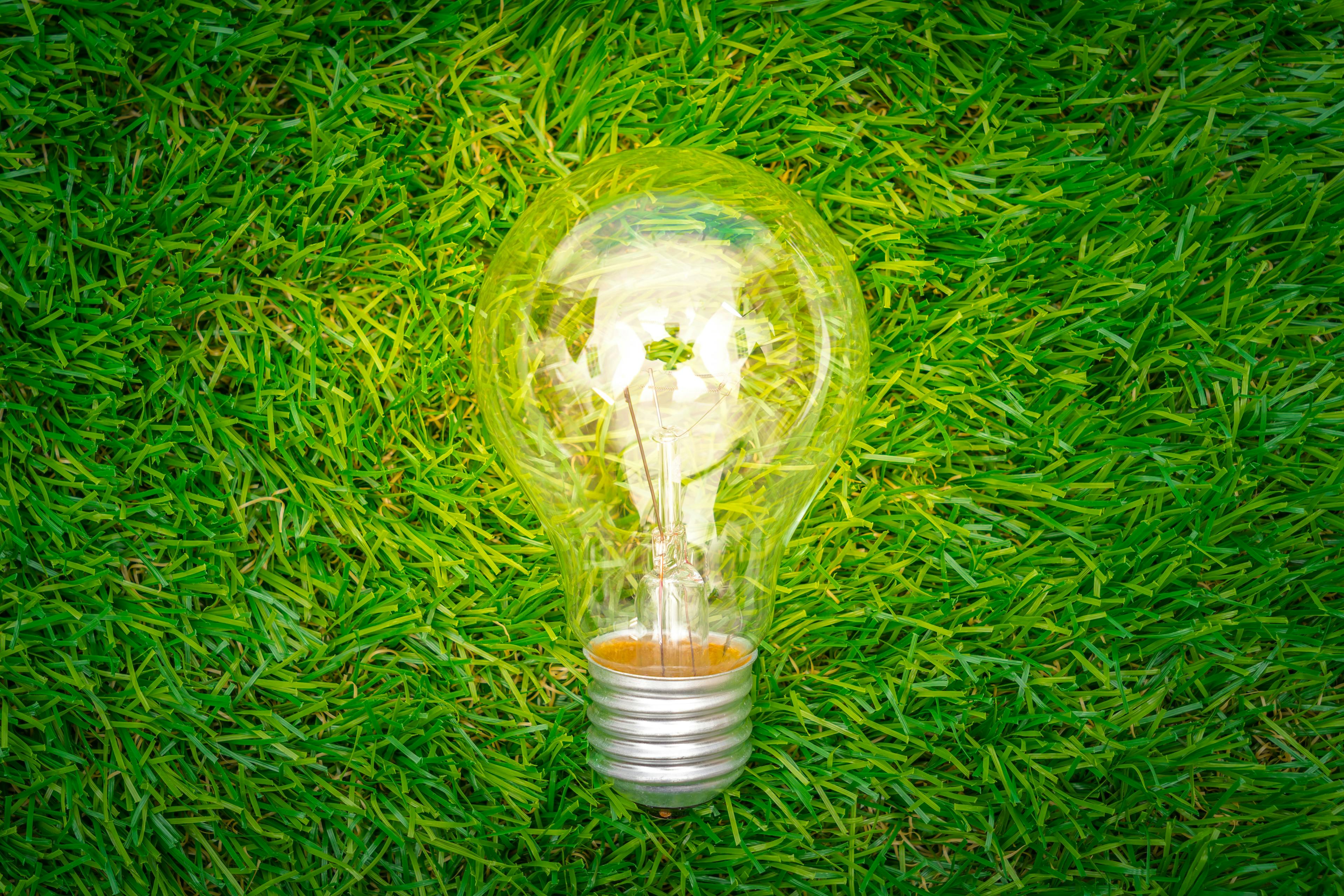 concetto-di-eco-lampadina-crescere-l-erba.jpg